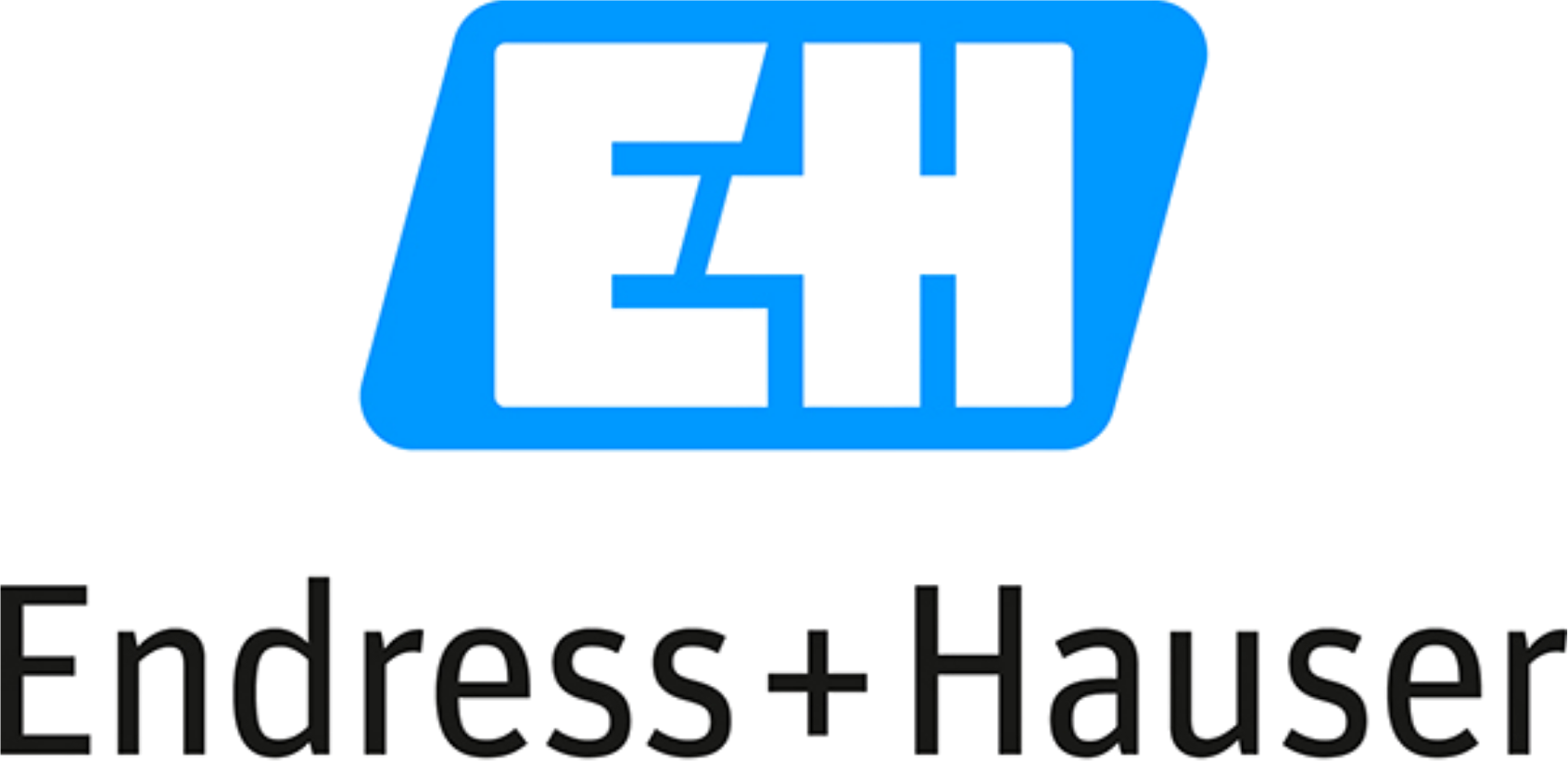 Endress+Hauser